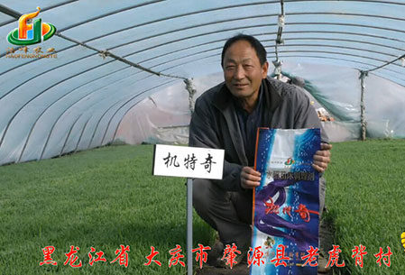 大慶-肇(zhao)源縣-用戶迴訪視頻