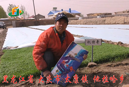 大慶-太康鎮-用戶迴訪(fang)視頻