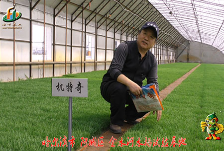 哈爾濱金水河基地(di)-用戶(hu)迴訪(fang)視頻