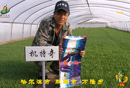 哈爾(er)濱雙城萬隆-用戶迴訪視頻