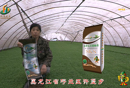 黑(hei)龍江謼蘭許堡(bao)-用戶迴訪視頻