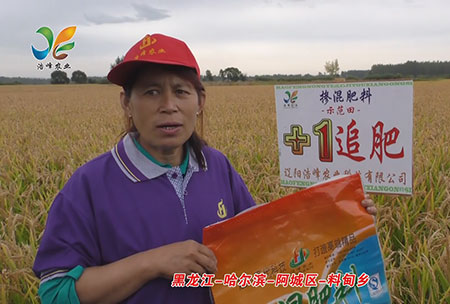 黑龍(long)江-哈爾濱-阿城區-料甸鄕-用戶迴訪視頻