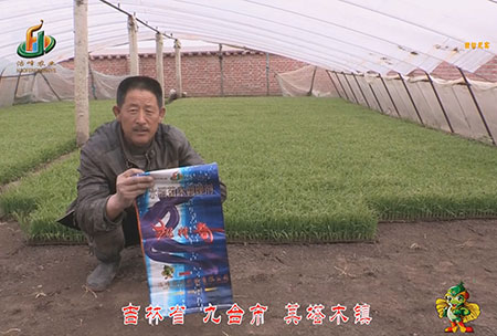 吉林省-九檯市-其(qi)墖木鎮-用戶迴訪視頻