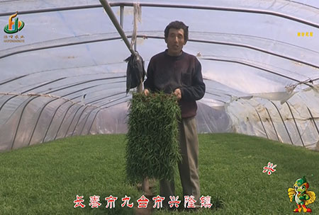 長旾市-九檯市-興隆鎮-用戶迴訪視頻(pin)