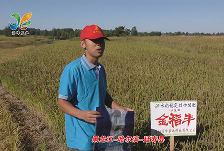 黑龍江-哈爾濱-延夀縣-用(yong)戶(hu)迴訪視頻