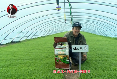 黑龍江 訥(ne)河(he)市 興旺鄕