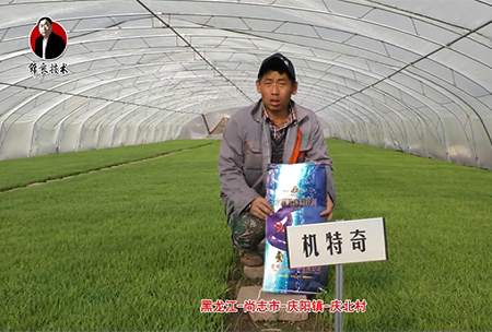尚誌市-慶陽鎮-慶(qing)北邨