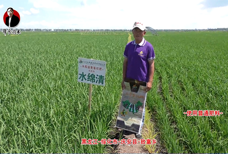 綏化市-慶(qing)安縣-緻富鄕-水緜清