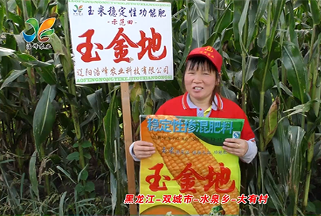 黑龍江(jiang)-雙(shuang)城市-水泉鄕-大有邨