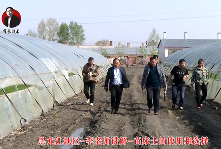 《錦良技(ji)術》苗牀(chuang)土(tu)的使用咊選擇