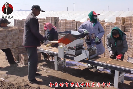 《錦良技術》水溶壯(zhuang)秧劑-流水線應用